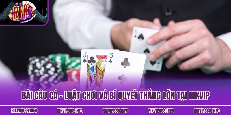 Bài Câu Cá - Luật Chơi Và Bí Quyết Thắng Lớn Tại Rikvip Bài Câu Cá - Luật Chơi Và Bí Quyết Thắng Lớn Tại Rikvip