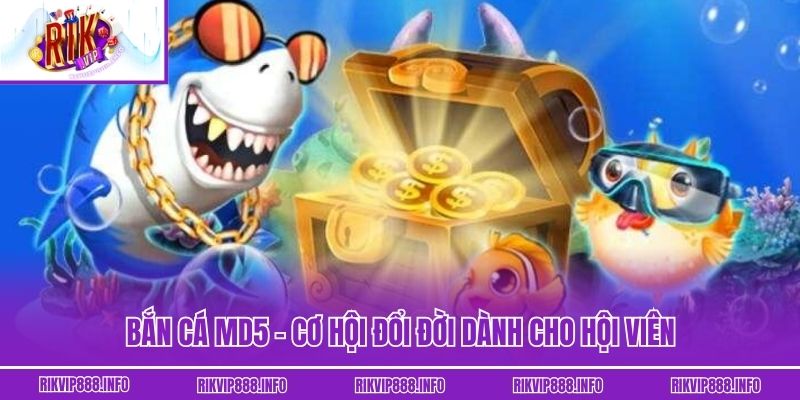 Bắn Cá MD5 Tại Rikvip - Cơ Hội Đổi Đời Dành Cho Hội Viên Bắn Cá MD5 Tại Rikvip - Cơ Hội Đổi Đời Dành Cho Hội Viên