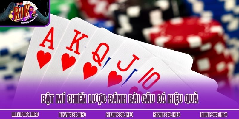 Bài Câu Cá - Luật Chơi Và Bí Quyết Thắng Lớn Tại Rikvip Bật mí chiến lược đánh bài Câu Cá hiệu quả