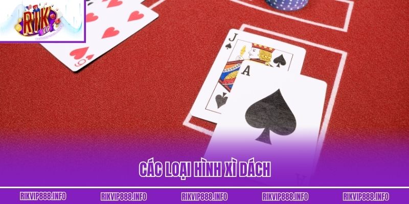Xì Dách: Cuộc Đấu Trí 21 Điểm Đầy Nghẹt Thở Ai Cũng Muốn Thử Các loại hình Xì Dách