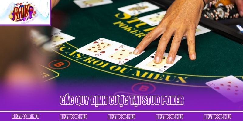 Stud Poker - Hướng Dẫn Từ Luật Chơi Đến Thắng Thưởng Khủng Các quy định cược tại Stud Poker