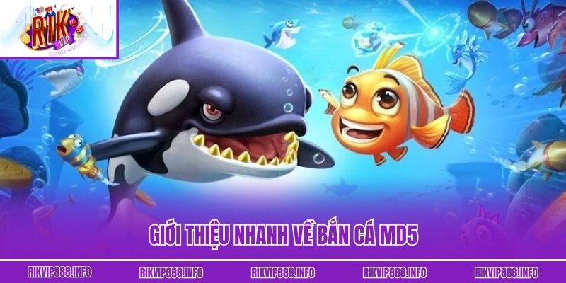 Bắn Cá MD5 Tại Rikvip - Cơ Hội Đổi Đời Dành Cho Hội Viên Giới thiệu nhanh về bắn cá MD5