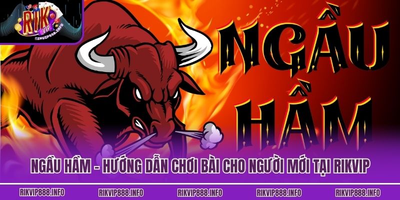 Ngầu Hầm - Hướng Dẫn Chơi Bài Cho Người Mới Tại Rikvip Ngầu Hầm - Hướng Dẫn Chơi Bài Cho Người Mới Tại Rikvip