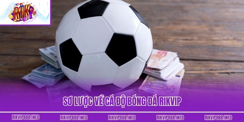 Sơ lược về cá độ bóng đá