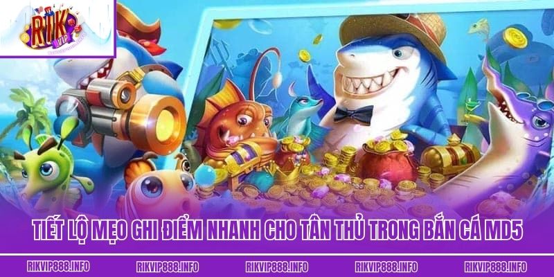 Bắn Cá MD5 Tại Rikvip - Cơ Hội Đổi Đời Dành Cho Hội Viên Tiết lộ mẹo ghi điểm nhanh cho tân thủ trong Bắn cá MD5