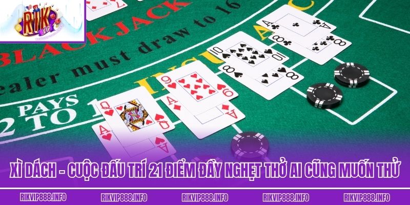 Xì Dách: Cuộc Đấu Trí 21 Điểm Đầy Nghẹt Thở Ai Cũng Muốn Thử Xì Dách: Cuộc Đấu Trí 21 Điểm Đầy Nghẹt Thở Ai Cũng Muốn Thử